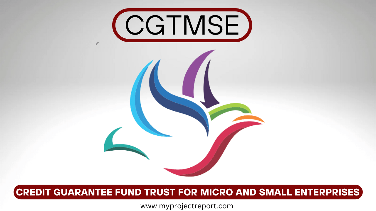 Image of CGTMSE